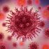 Confirman primer caso de coronavirus en Buenaventura